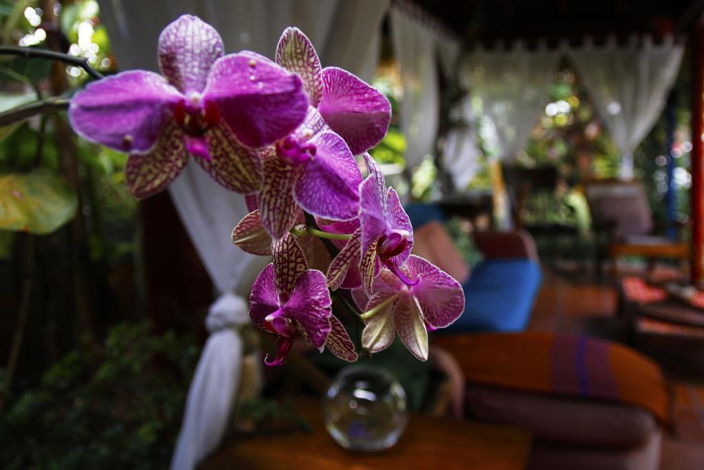 Dazkarizeh73 Villa Ribeira Brava Bagian luar foto